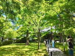 -三千院