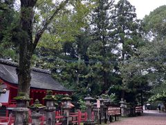 -奈良公园