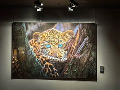 -罗红摄影艺术馆