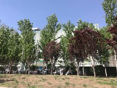 -红星美凯龙北京至尊MALL(东四环中路店)