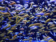 -成都浩海立方海洋公园