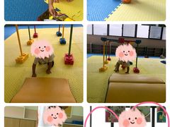 -吉的堡幼儿园(上海金山英慈园)