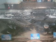 -上名堂·鱼头好吃(体育场路店)