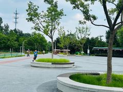 -绿堤公园