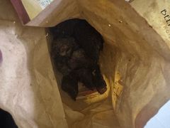 -都士牧人现烤牛肉干