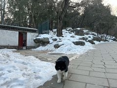 -香山公园
