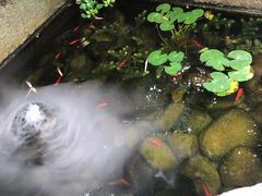 -宣和苑(华侨新村店)
