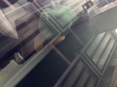 -鲨鱼皮汽车凹陷玻璃修复(静安店)