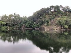 -王借岗森林公园
