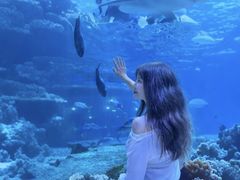 -华夏文旅西安度假区