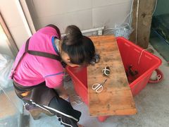 -阳澄湖大闸蟹·琼灵阁牌品牌连锁(吴中总店)