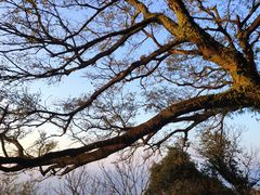 -福建泉州仙公山风景名胜区