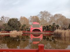 -洛阳市牡丹公园