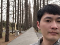 -金岛生态园烧烤露营地