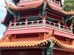 -神光山国家森林公园