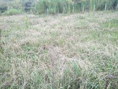 -贵阳市花溪国家城市湿地公园