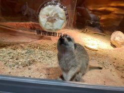 -酷嗒动物文化乐园(cutezoo西溪乐天城店)