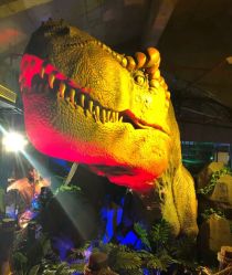 -恐龙探索乐园(磁器口店)