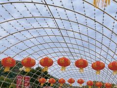 -温州乐园