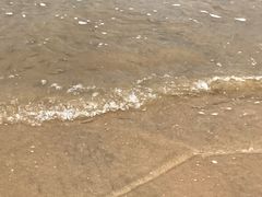-李官龙王庙海滨旅游度假村