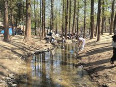 -白水寺森林公园