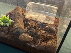 -万达广场(宜兴店)