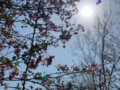 -云漫湖生态度假公园