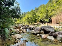 -广州白江湖森林公园