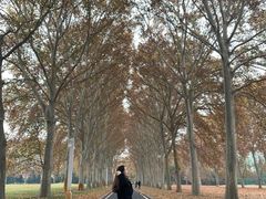 -河南省黄河迎宾馆