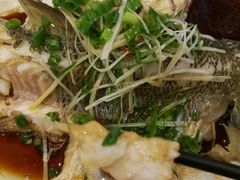 -眉州东坡(中日友好医院店)