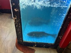 -川流不息·地道川菜·小龙虾(新松江路店)