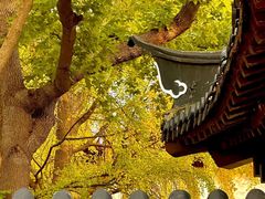 -郑和公园