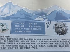 -青藏高原野生动物园