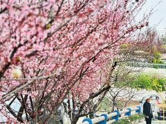 -玫瑰庄园·自助烧烤·烤全羊·团建拓展(龙泉山店)