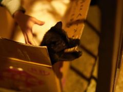 -学习谷日语培训日本留学·多语种外语教学(海淀人大分部)