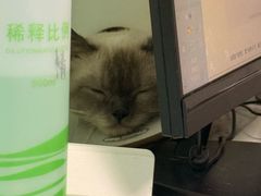 -半岛宠物医院24小时(科华中路店)