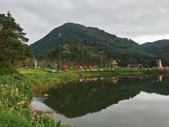 -广州市石门国家森林公园