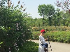 -白鹭湾湿地公园