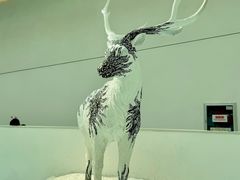 -中国湿地博物馆