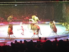 -珠海横琴长隆《卡卡虎奇遇记》