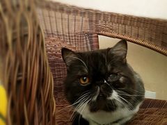 -清真·二嫂子煎饼果子(鼓楼旗舰形象店)