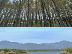 -野鸭湖国家湿地公园