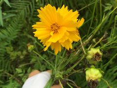 -桤木河湿地公园