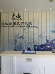 -秀域科技美容