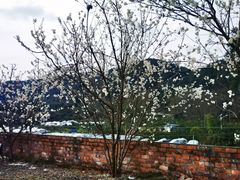 -樱桃山旅游景区