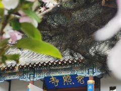 -泰山风景名胜区-普照寺