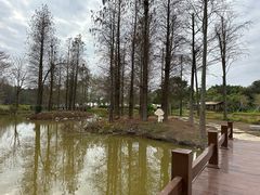 -森波拉奇妙世界