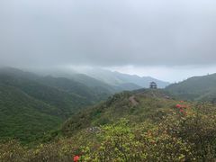 -大围山国家森林公园