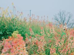 -白鹭湾湿地公园