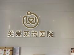 -关爱宠物医院·猫科中心·消化科(滨湖万达分院)
